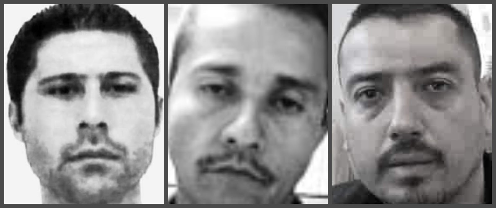 blog del narco el cholo blog del narco el cholo