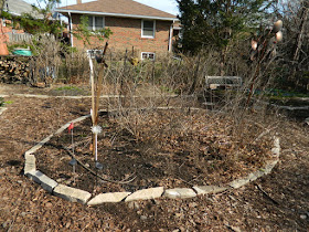 Etobicoke Toronto spring garden clean up before by Paul Jung Gardening Services