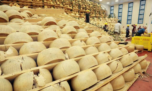 Forme di parmigiano distrutte in una coop agricola di Finale Emilia - ph credits ANSA