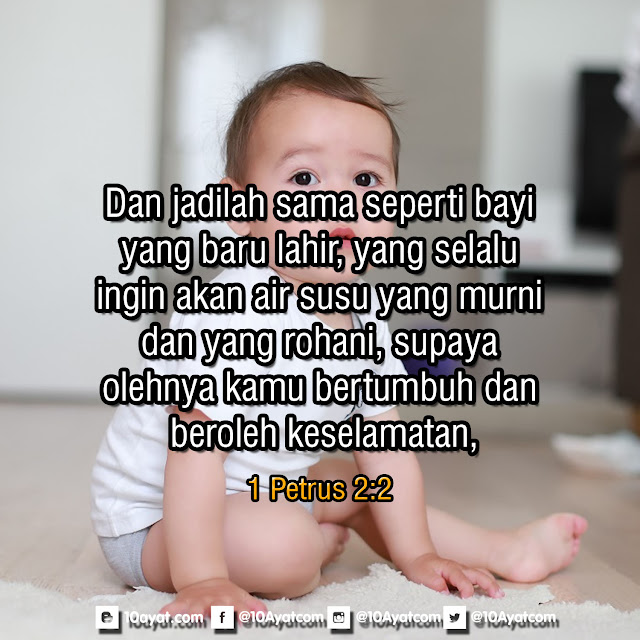 1%2BPetrus%2B2 2