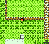Pokemon Gold EX Screenshot 01