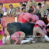 As imagens do Festival Taurino da Cercibeja por Vítor Besugo