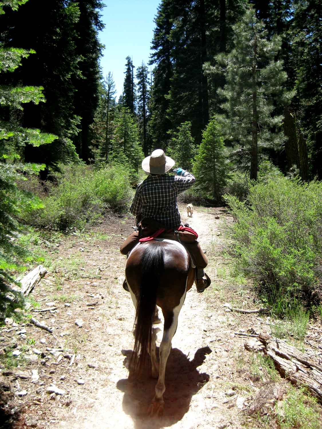 Kissack Adventures Clarks Fork Horse Camping Day One!!!