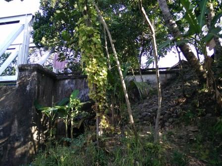 Ujung Barat Jembatan Rel Pangukan