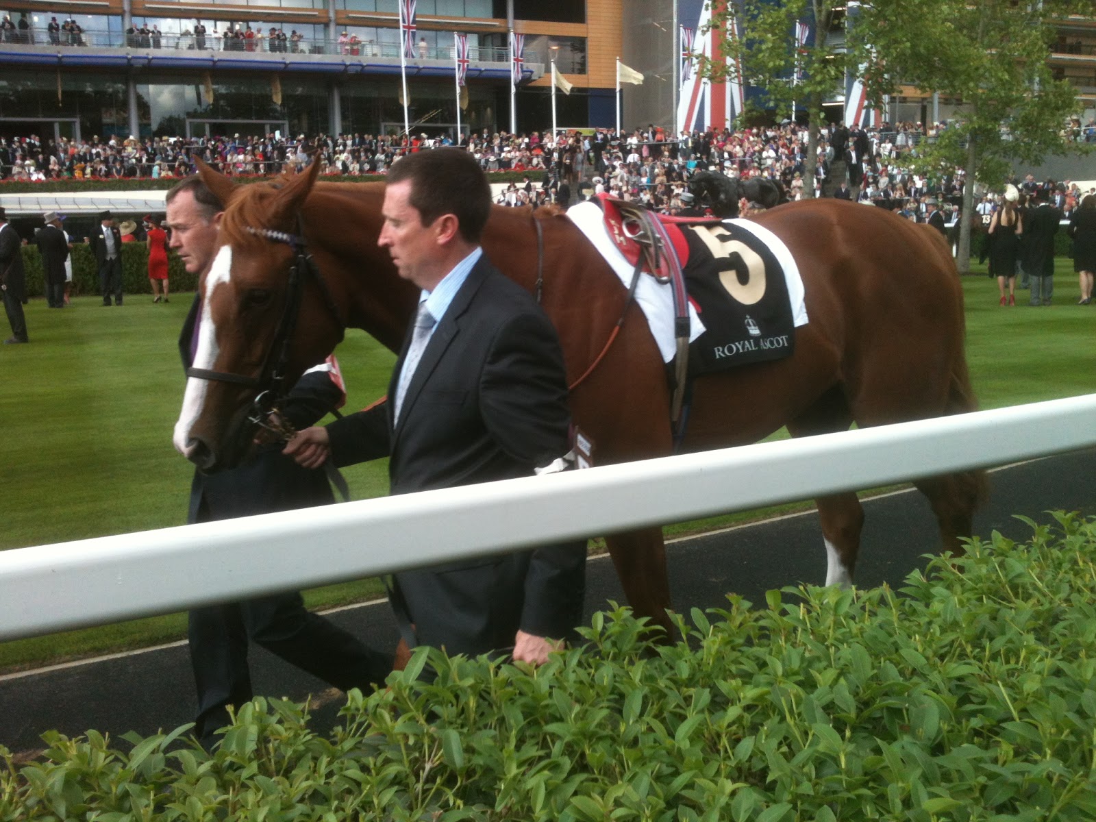 Talking Horses: Horse Racing Year in Review - 2012