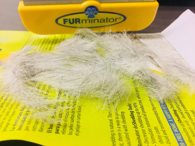 FURminator