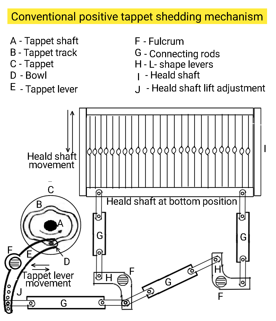 Textile Adviser Positive tappet shedding mechanism, structure and working