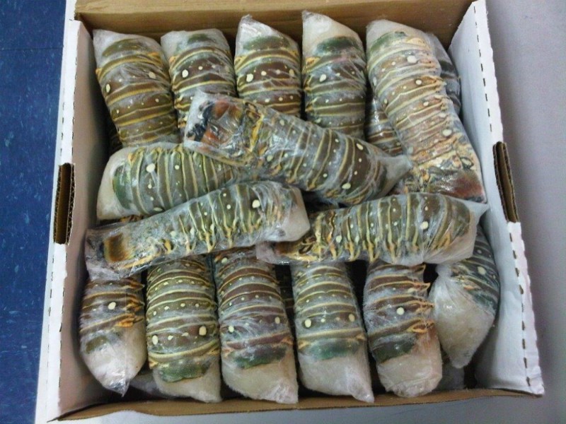 Our Profile Frozen Lobster Supplier Wholesale Frozen Lobster Meat