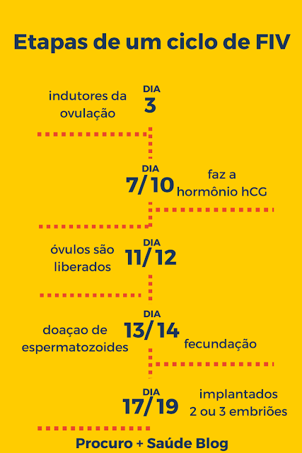 Etapas de um ciclo de fertilização in vitro (FIV)