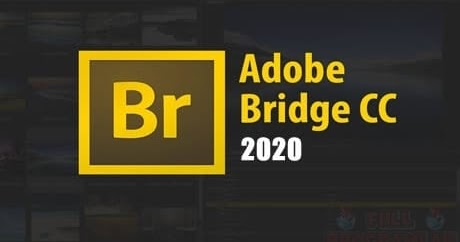 adobe bridge download free windows adobe bridge download free windows