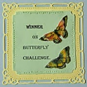 Butterfly Challenge winner