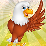 G4K-Dazzling-Eagle-Escape-Game-Image.png