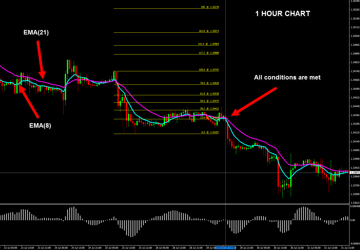 Cara Melakukan Trading Forex