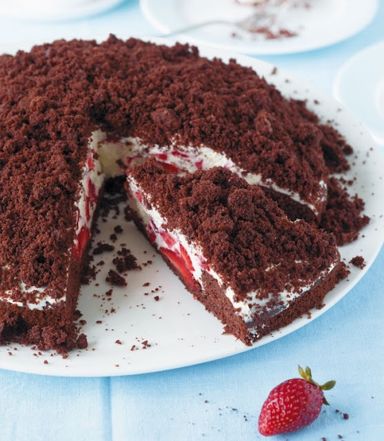 Erdbeer-Maulwurf-Torte ~ Luckies