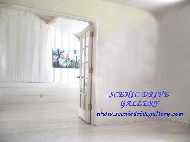 Collections at Scenic Drive Gallery