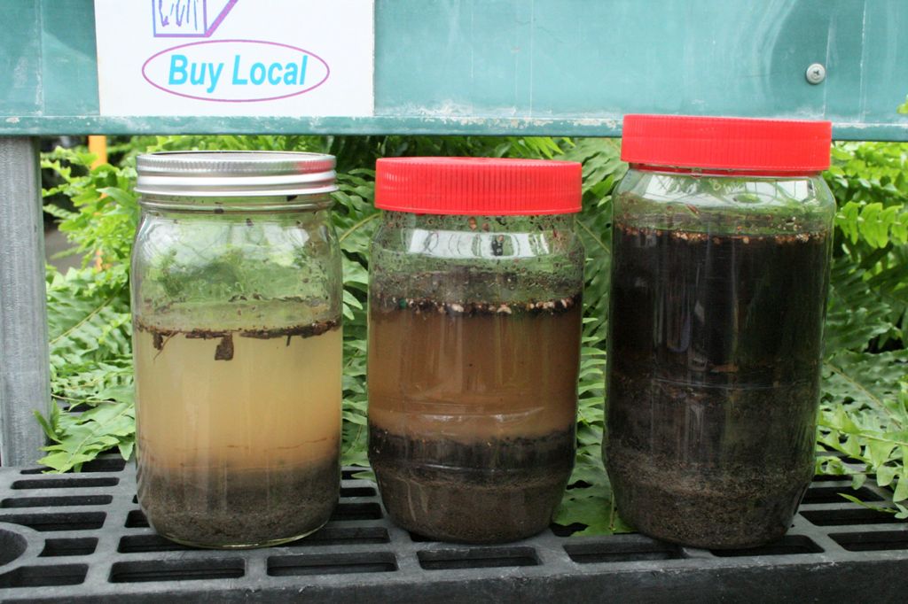 The Flower Bin: Get to Know Your Garden Soil