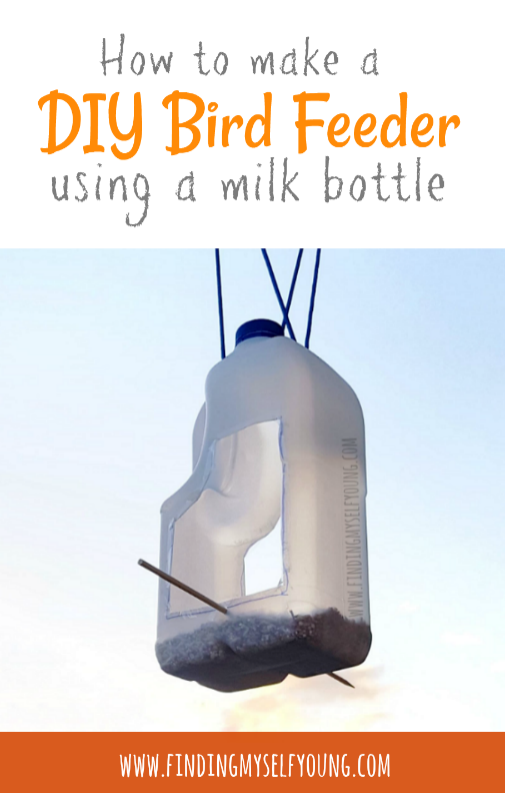 Finding Myself Young How To Make A Diy Recycled Bird Feeder