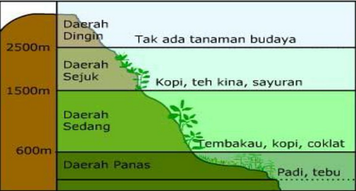 MATERI GEOGRAFI KELAS X BAB VI B.KLASIFIKASI IKLIM, POLA IKLIM GLOBAL