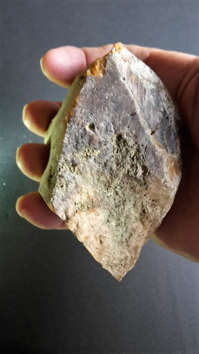 Blood residue from ancient stone Tools, Blut an Steinzeitgeräten