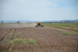 New Holland CX 780 Combine. Poppy & Opium