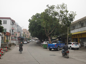 Aochang Road (鳌长公路) in Changjiang Villiage, Zhongshan (中山市长江村)