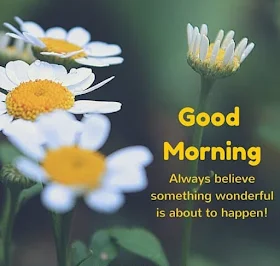 Good Morning English Quotes Wishes Images & Pictures with Nature & Flowers Photos