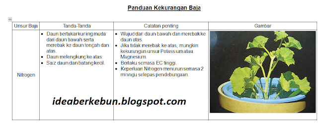 Berkebun Sebagai Hobi: PATI BAJA AB