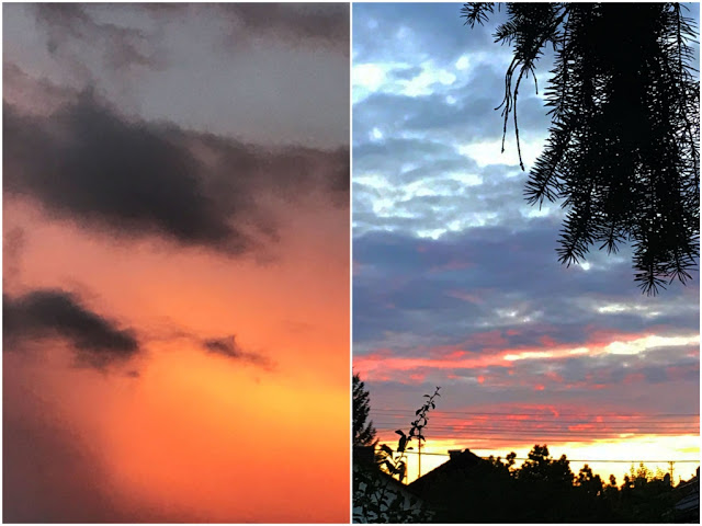 Gefallt 960 Mal 12 Kommentare Deno Licina Der Poet Official