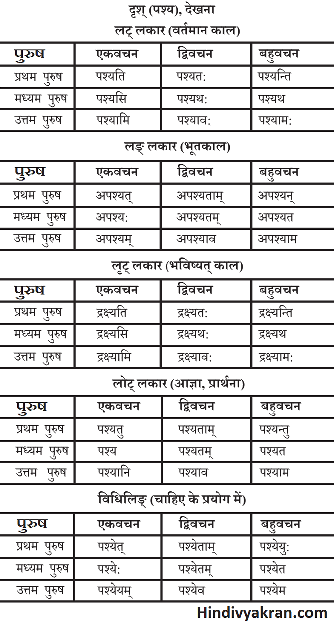 Drish Dhatu Roop In Sanskrit पश्य/दृश् धातु के रूप संस्कृत में – Drash/Pashya Dhatu Roop In Sanskrit