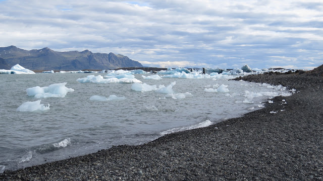 Islandia Agosto 2014 (15 días recorriendo la Isla) - Blogs de Islandia - Día 6 (Jökulsárlón - De Camino A Los Fiordos De Este) (3)
