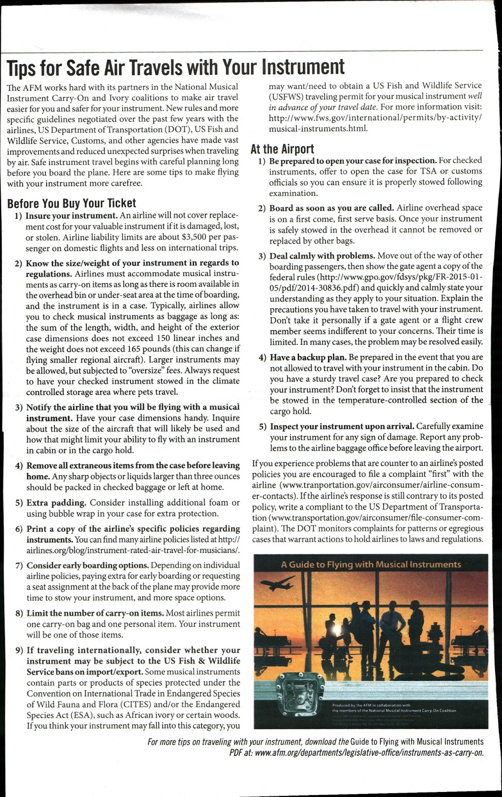 David Beebe's online journal AFM Guidelines for Air Travel with