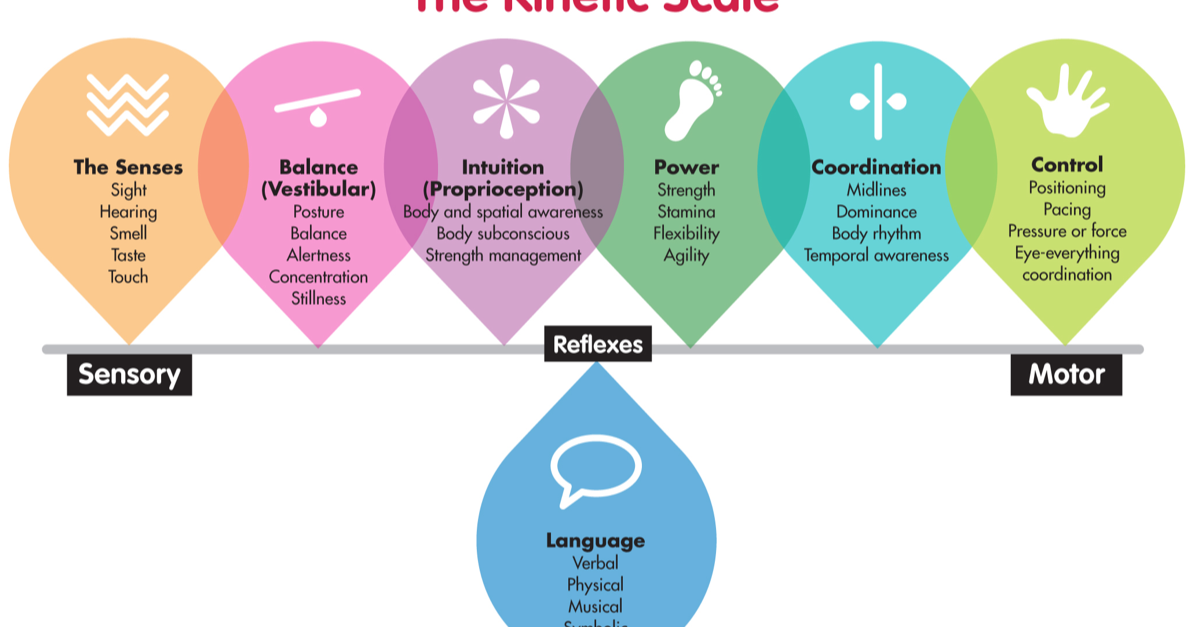 Moving Smart: THE KINETIC SCALE: Beyond Gross & Fine Motor