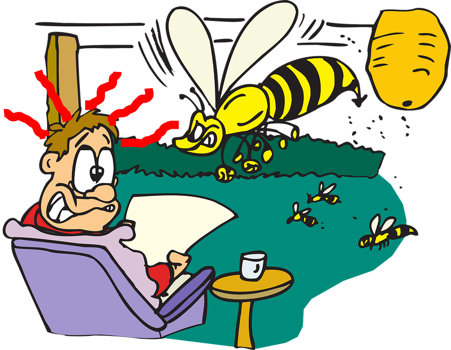 A bee in her/his/my Idiom Study
