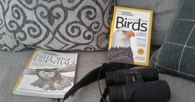 What is the best magnification for bird watching binoculars? - What birds are in my backyard?