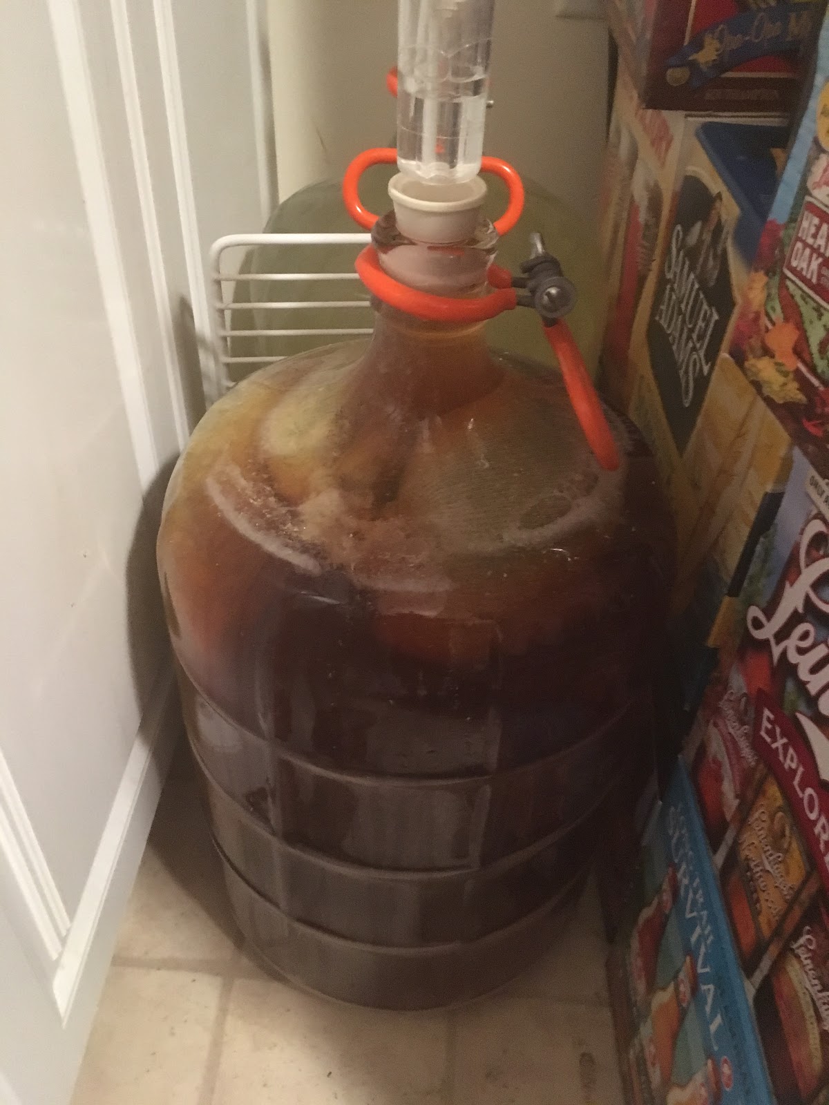 The Wouldbe Brewmaster Don't carboy unprotected
