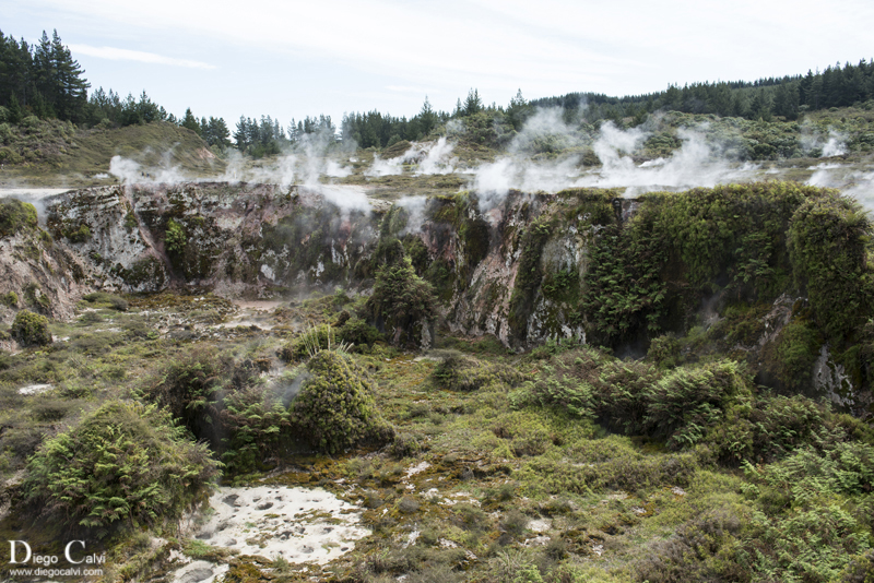 Taupo y las colinas verdes de los Hobbit - Nueva Zelanda en Campervan - Vuelta al mundo (2)