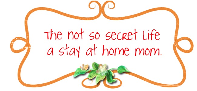 The Not So Secret Life of a Stay At Home Mom!