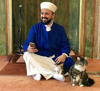 Una mezquita para gatos