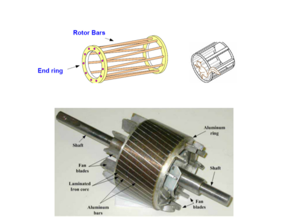 Electrical Point: Polyphase Induction Motor (Construction, Types and ...