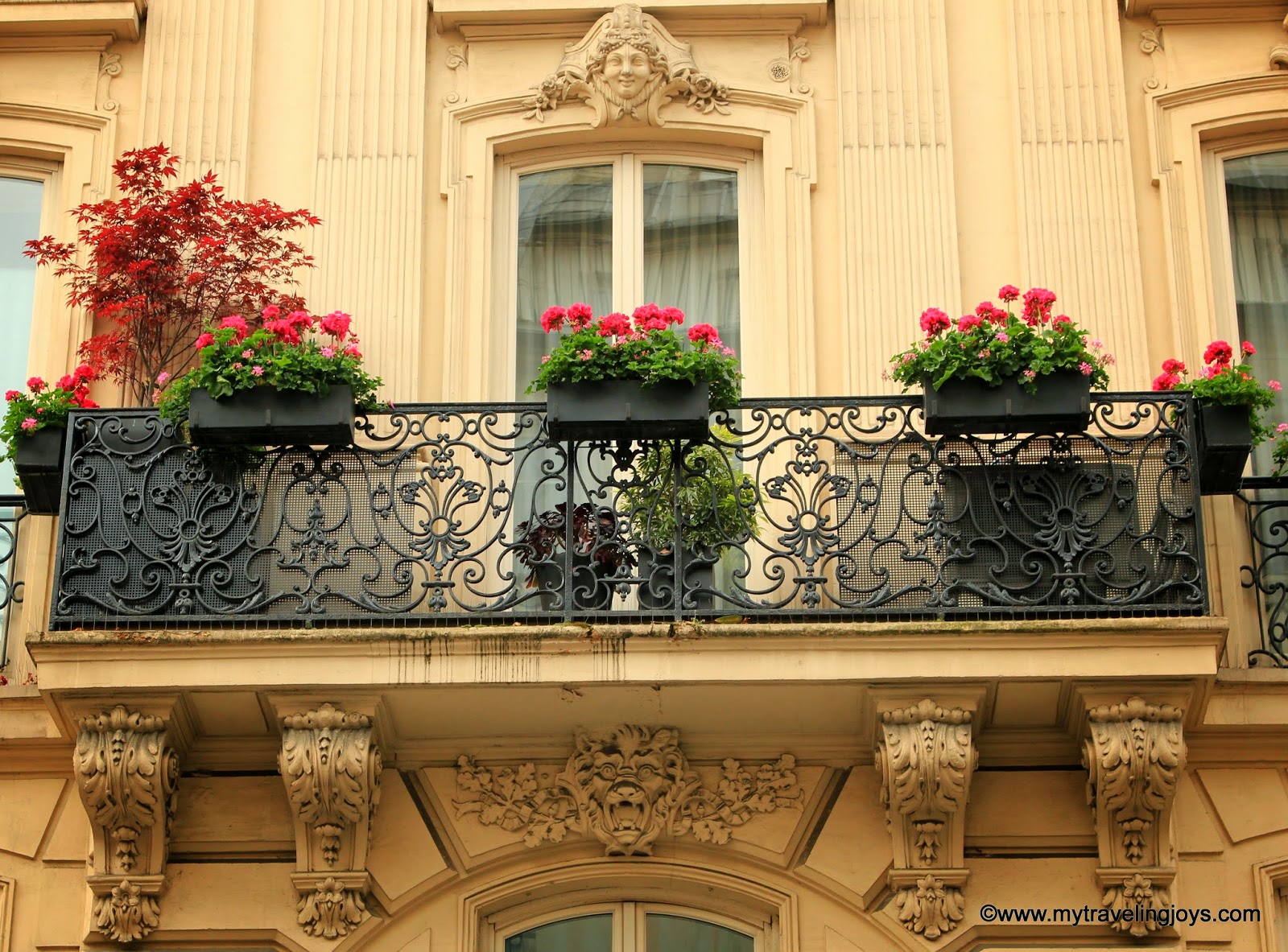 12 Fantastic French Window Boxes in Paris Photo Post My Traveling Joys