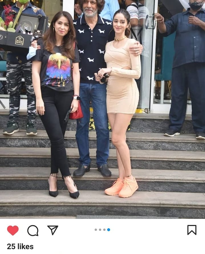 Ananya pandey pic