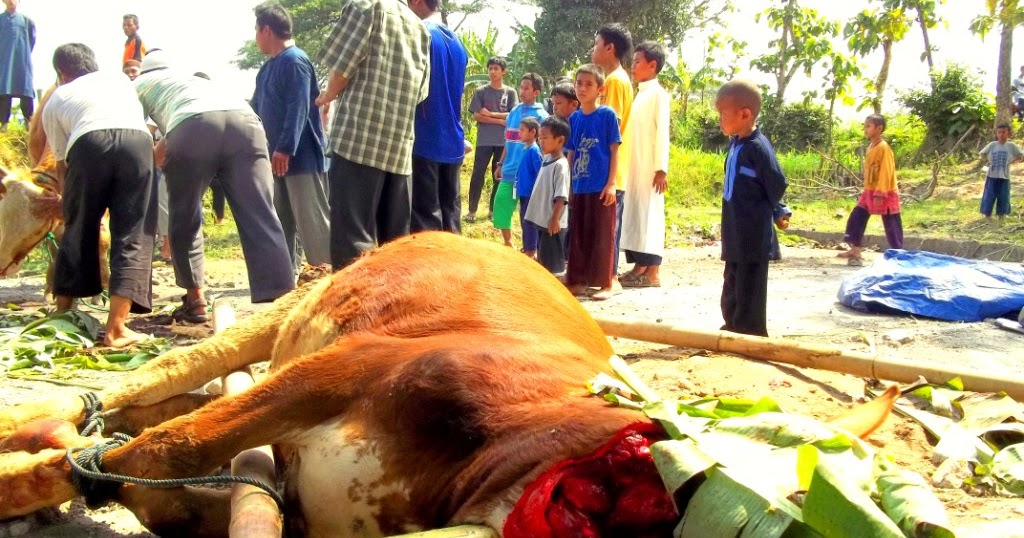 Cerita Lebaran Idul Adha GRasmi