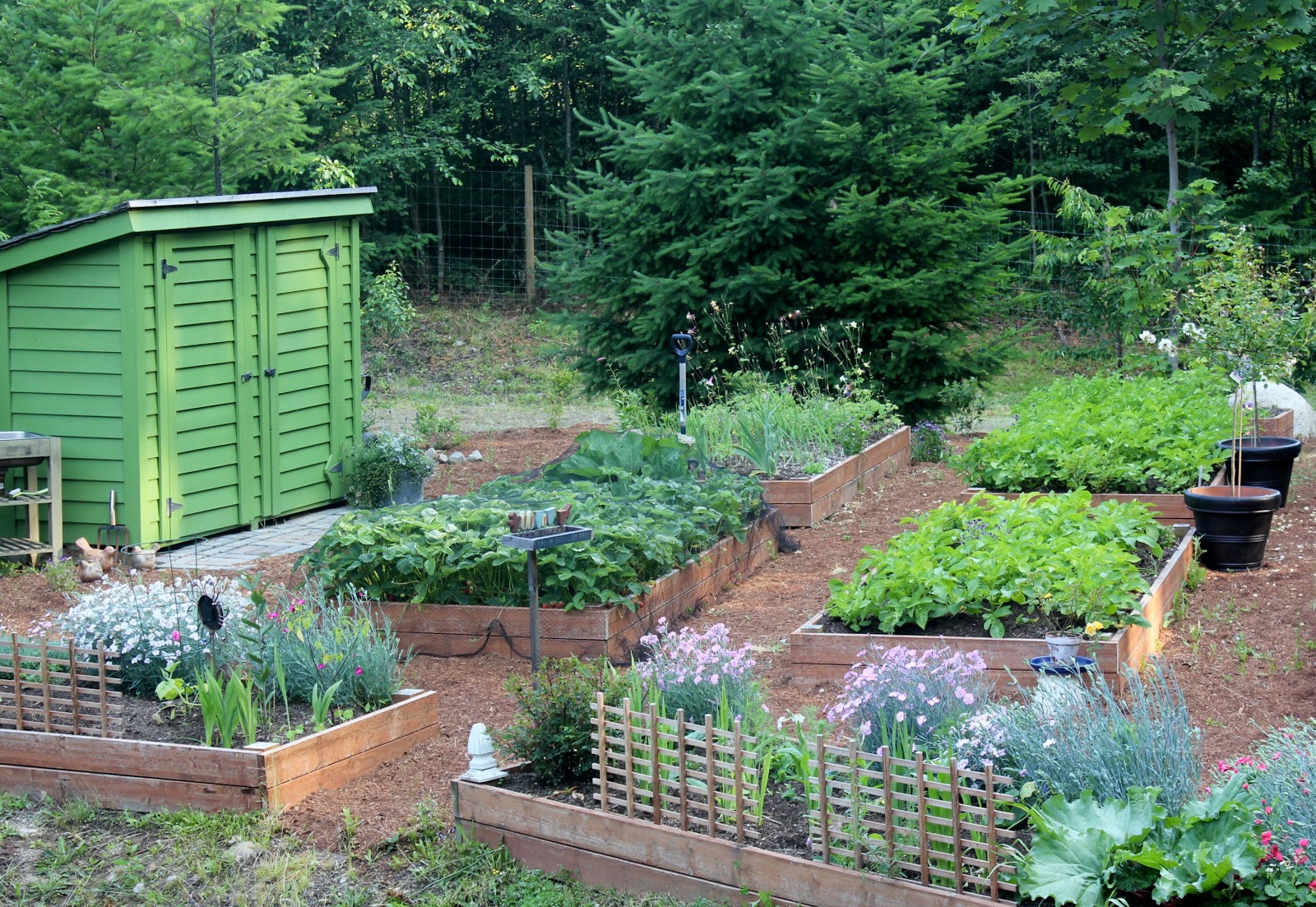 The Nitty Gritty Potager Gardening Trends 2013
