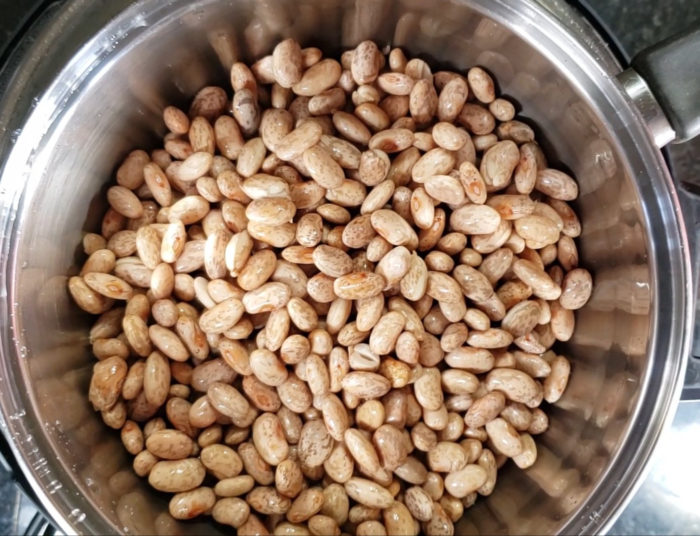 Instant Pot Pinto Beans Curry