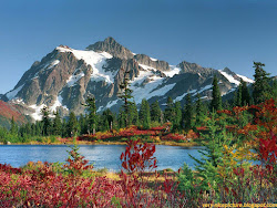 nature wallpapers nice forest spring mountain scenes amazing backgrounds pretty beauty 3d animals awesome gorgeous mountains breathtaking very paysages imagenes