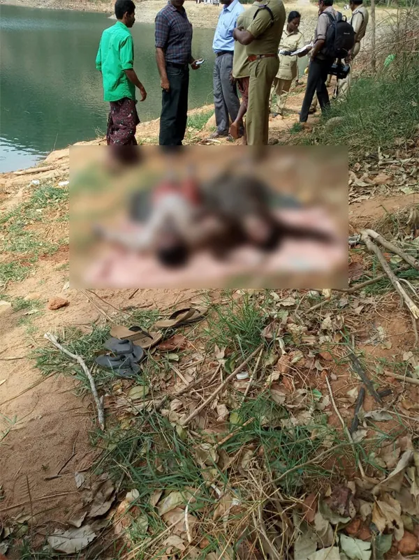 Missing lovers found dead in pond, News, Auto Driver, Dead Body, Suicide Attempt, Police, Complaint, Missing, Local-News, Kerala.