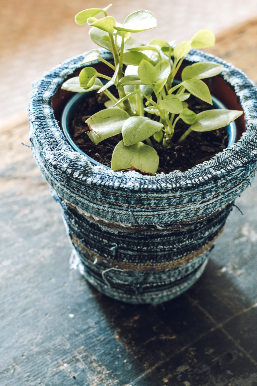 Fun Denim Plant Pot Craft