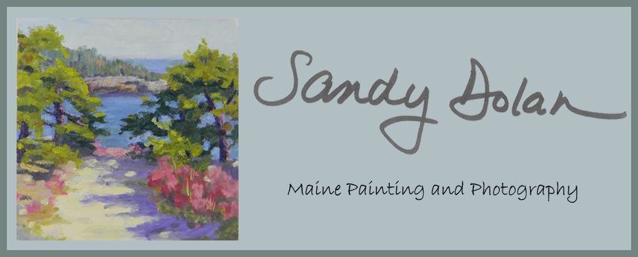 Sandy Dolan Maine Painting and Photography