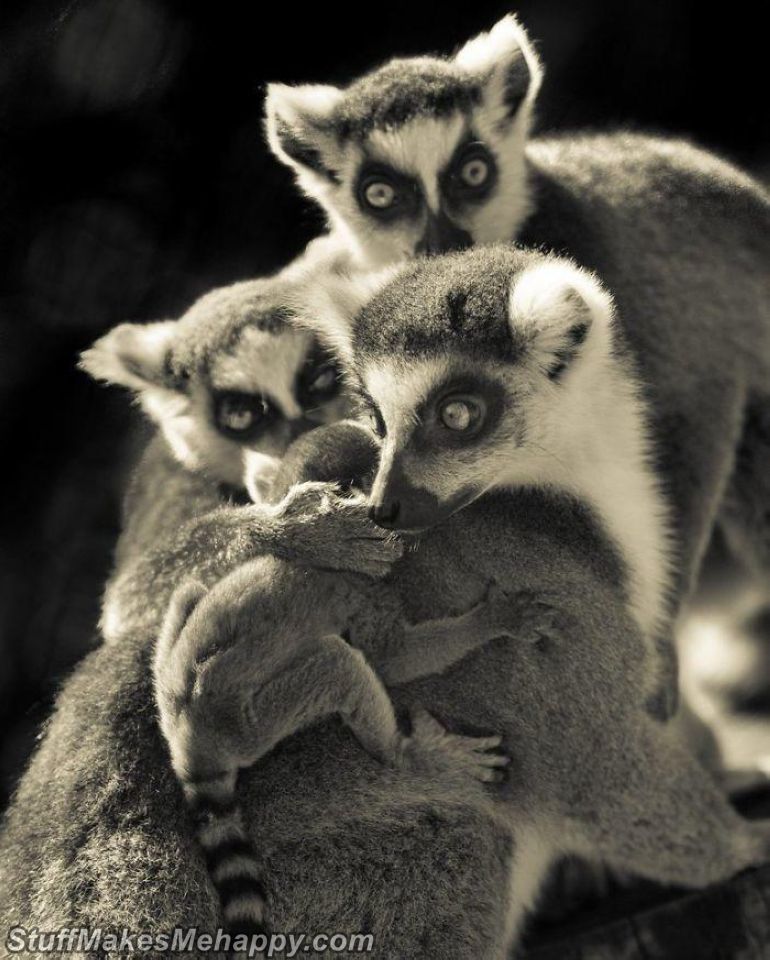 11. Friendly family 11. Friendly family