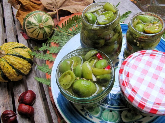 pomodori verdi in aceto o tuttalpiu` in agrodolce